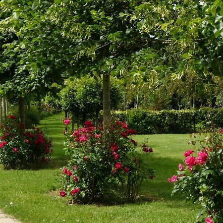 Gite Le Logis - Manoir Le Plessix Madeuc Corseul 外观 照片